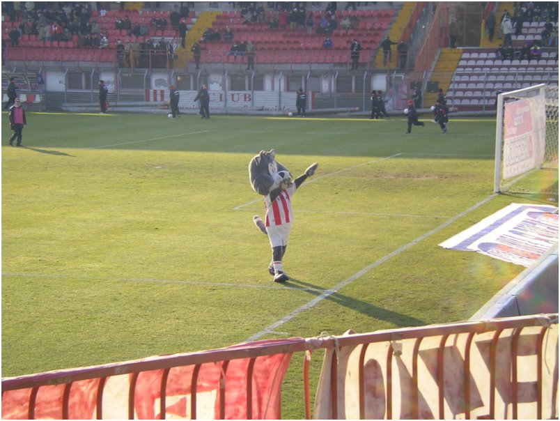 Vicenza - Arezzo  16.01.2005 022